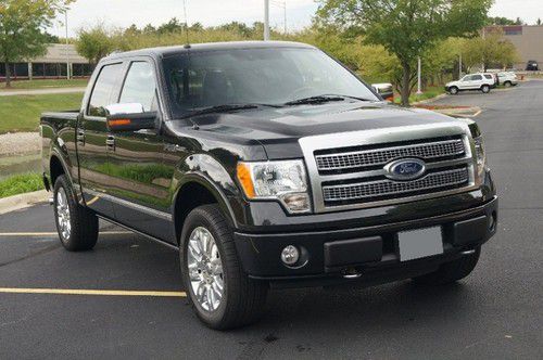 2010 ford f-150 platinum