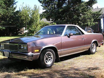 1984 el camino conquesta