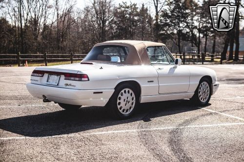 1991 alfa romeo spider veloce