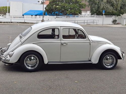 1960 volkswagen beetle - classic