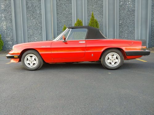 1985 alfa romeo spider