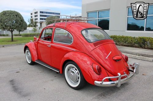 1967 volkswagen beetle - classic