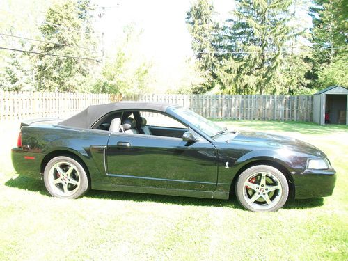 2003 mustang cobra terminator svt cobra super charged convertible 20,000 miles