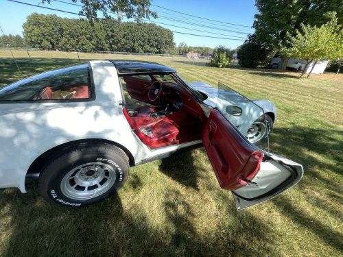 1981 chevrolet corvette