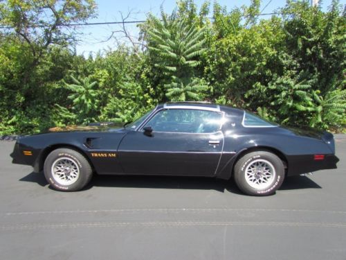 77 pontiac firebird