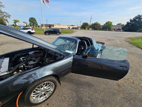 1981 pontiac firebird