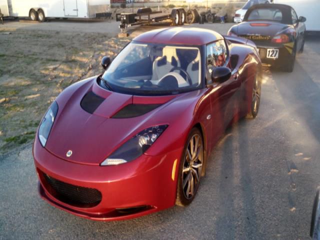 Lotus evora s