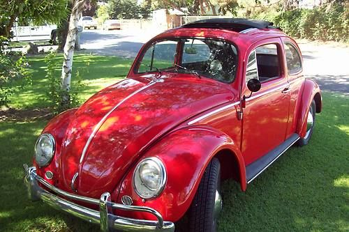 1963 rag  top bug