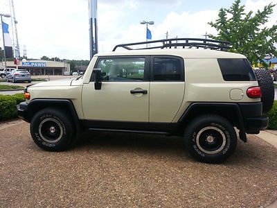 Fun to drive! 2010 toyota fj cruiser