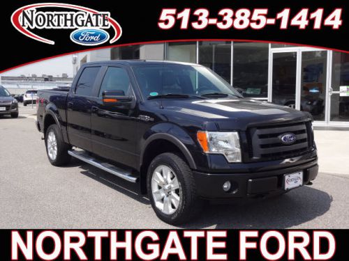 2010 ford f150 fx4