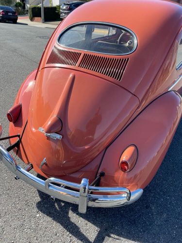 1956 volkswagen beetle