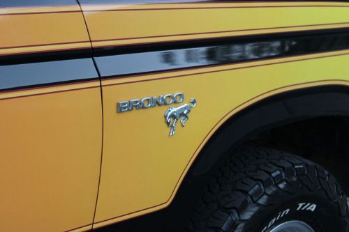 1981 ford bronco