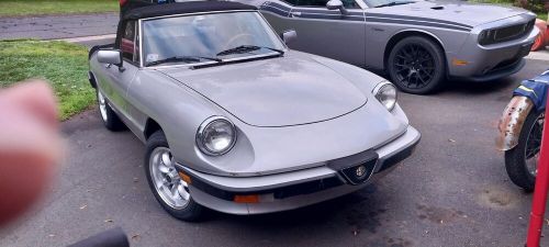 1984 alfa romeo spider