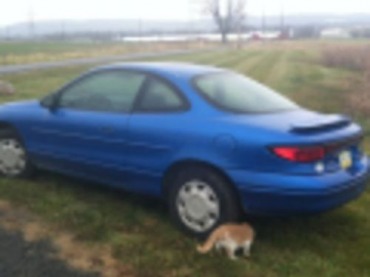 1998 Ford escort zx2 tune up