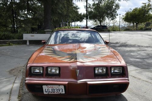 1980 pontiac trans am