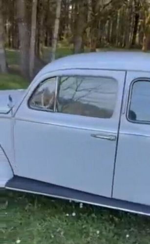 1960 volkswagen beetle - classic restored 2015