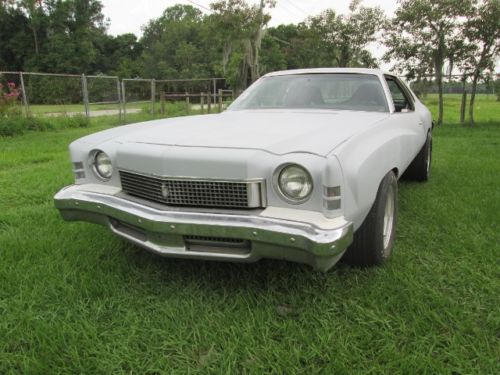 1973 monte carlo richard petty nascar clone