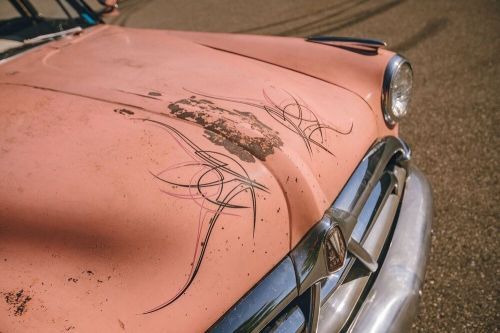 1951 hudson hornet