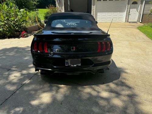 2019 ford mustang gt