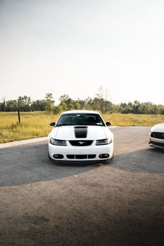 2004 ford mustang mach i