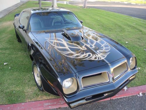 1976 pontiac trans am