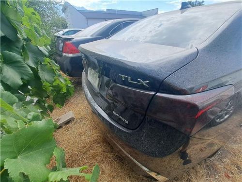 2019 acura tlx tech