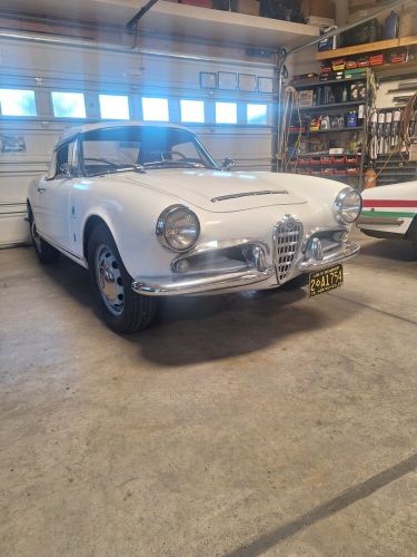 1964 alfa romeo giulia spider