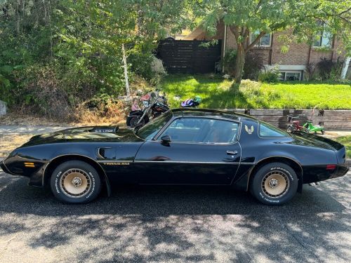 1981 pontiac firebird trans am