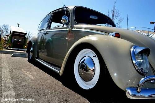 Vw bug - calstyle- type 1 - classic vw beetle-