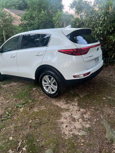 2019 kia sportage