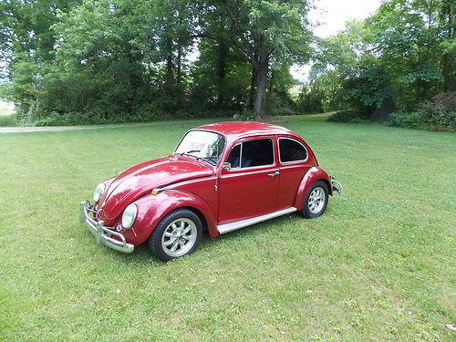 1965 volkswagen beetle