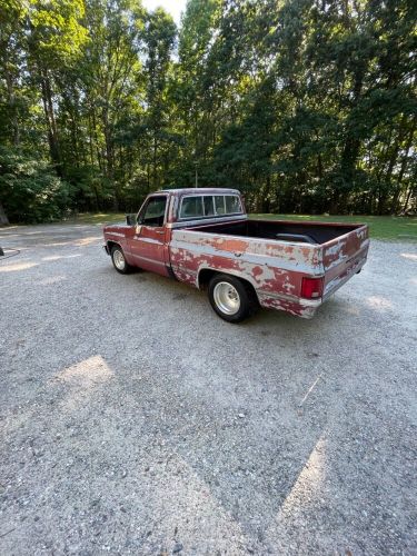 1981 chevrolet c-10