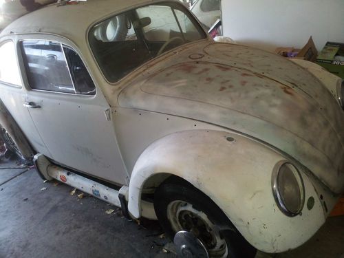 1966 vw bug