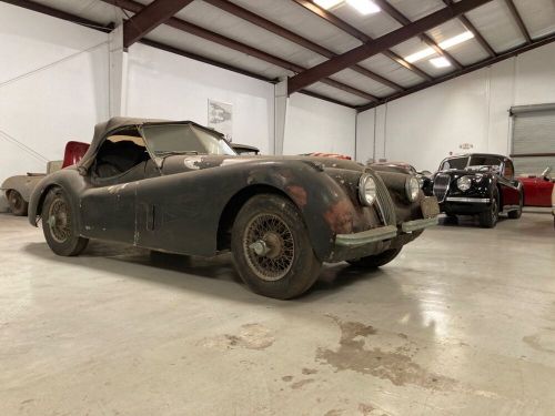 1954 jaguar xk