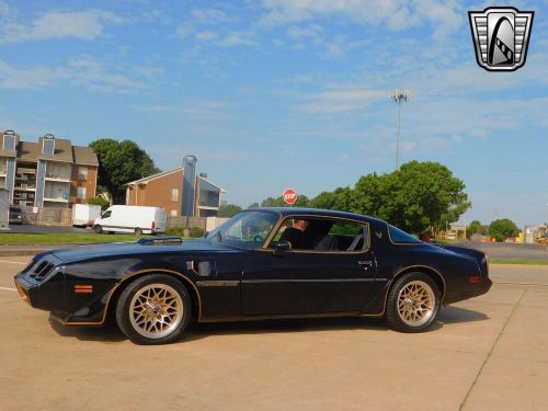 1981 pontiac firebird trans am