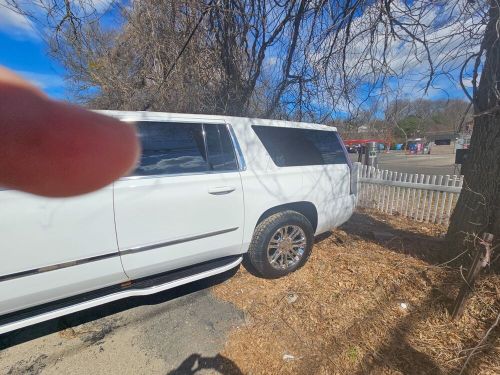 2019 cadillac escalade