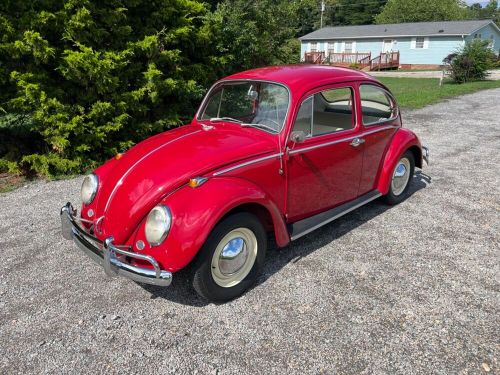 1965 volkswagen beetle - classic