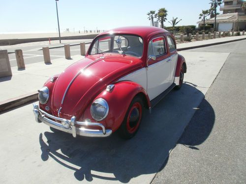 1961 volkswagen bug