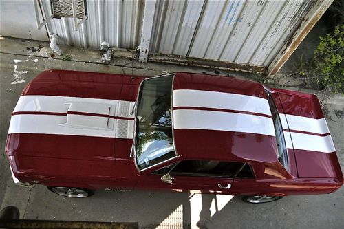 1967 ford mustang coupe, shelby / california special style, great shape.