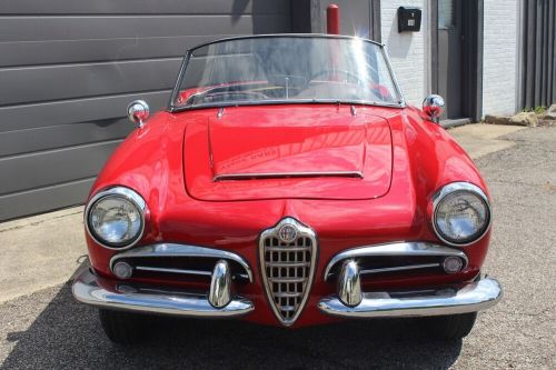 1964 alfa romeo giulia