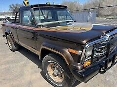 1979 jeep j10 golden eagle