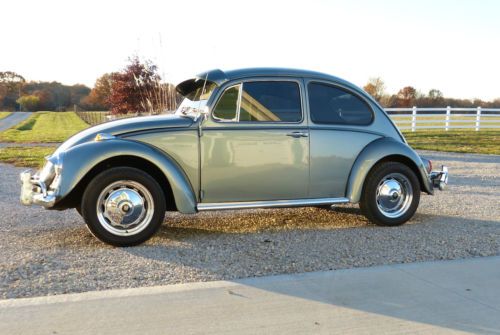 1967 volkswagen bug